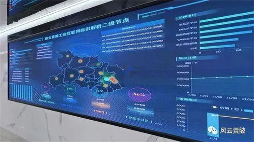 黃陂打造全省首家信息技術應用創新園，構建信創產業發展新高地